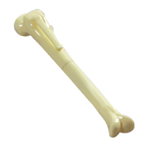 Bone Ball Pen